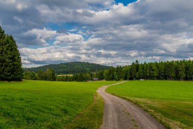 Thuringian Ormanı 'nın güzel doğasında yaz yürüyüşü