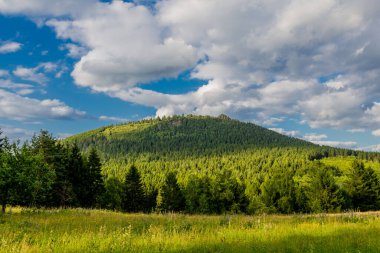 Thuringian Ormanı 'nın güzel doğasında yaz yürüyüşü