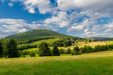 Thuringian Ormanı 'nın güzel doğasında yaz yürüyüşü