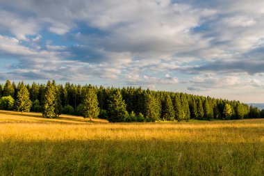 Thuringian Ormanı 'nın güzel doğasında yaz yürüyüşü