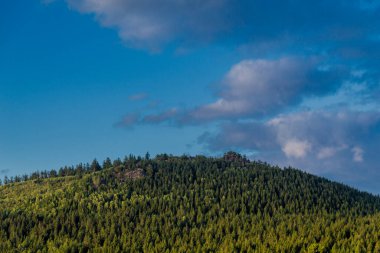 Thuringian Ormanı 'nın güzel doğasında yaz yürüyüşü