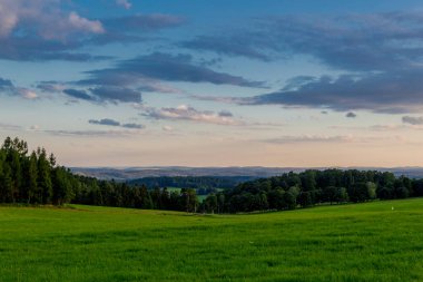 Thuringian Ormanı 'nın güzel doğasında yaz yürüyüşü