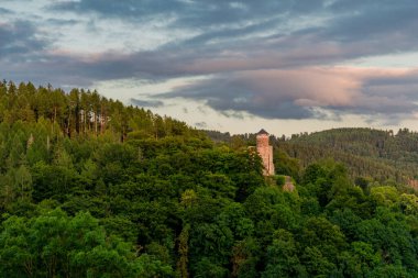 Thuringian Ormanı 'nın güzel doğasında yaz yürüyüşü