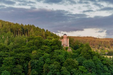 Thuringian Ormanı 'nın güzel doğasında yaz yürüyüşü