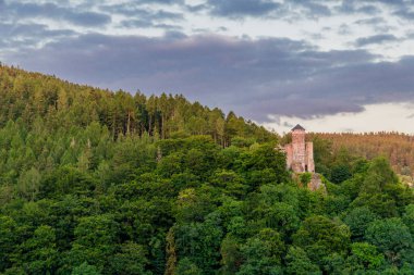 Thuringian Ormanı 'nın güzel doğasında yaz yürüyüşü