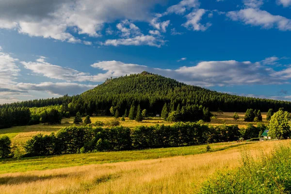 Promenade Estivale Dans Belle Nature Des Bois Thuringiens — Photo