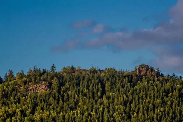 Sommar Promenad Genom Den Vackra Naturen Thüringen — Stockfoto