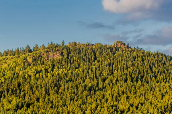 Sommar Promenad Genom Den Vackra Naturen Thüringen — Stockfoto