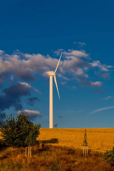 renewable wind energy on a summer\'s day