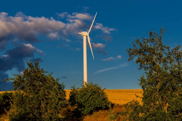 renewable wind energy on a summer\'s day