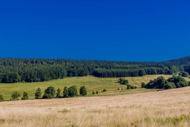 Rennsteig boyunca yaz yürüyüşü en güzel gün ışığında