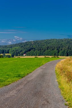 Rennsteig boyunca yaz yürüyüşü en güzel gün ışığında