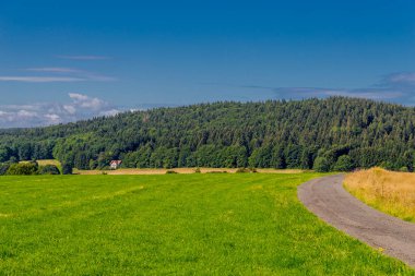 Rennsteig boyunca yaz yürüyüşü en güzel gün ışığında