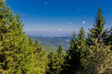 Rennsteig boyunca yaz yürüyüşü en güzel gün ışığında