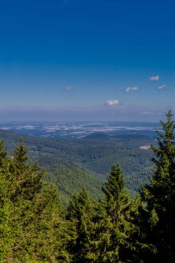 Rennsteig boyunca yaz yürüyüşü en güzel gün ışığında