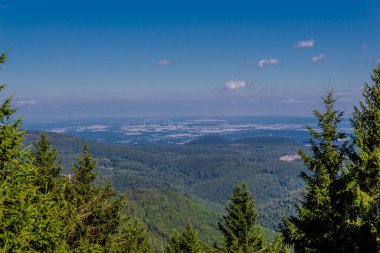 Rennsteig boyunca yaz yürüyüşü en güzel gün ışığında