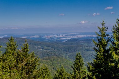 Rennsteig boyunca yaz yürüyüşü en güzel gün ışığında
