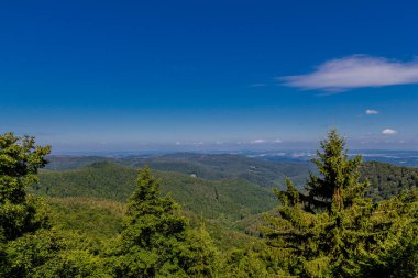 Rennsteig boyunca yaz yürüyüşü en güzel gün ışığında