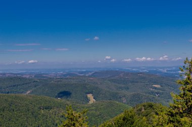 Rennsteig boyunca yaz yürüyüşü en güzel gün ışığında