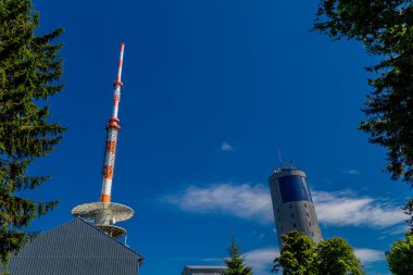 Rennsteig boyunca yaz yürüyüşü en güzel gün ışığında