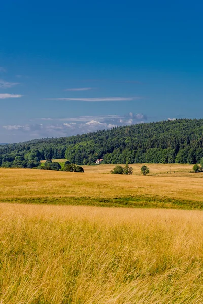 Sommerwanderung Rennsteig Bei Schönstem Sonnenschein — Stockfoto