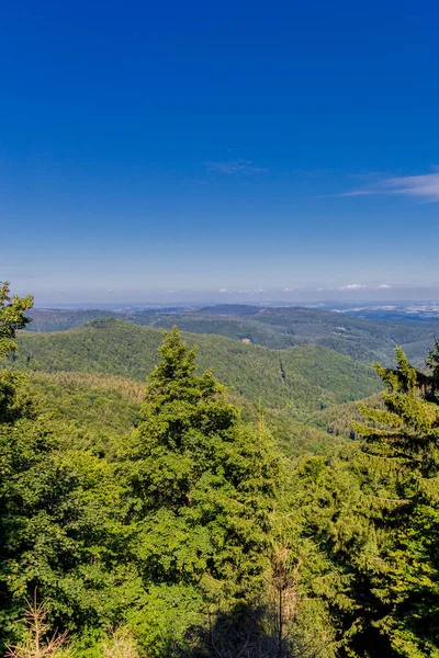 Paseo Verano Largo Del Rennsteig Bajo Sol Más Hermoso —  Fotos de Stock