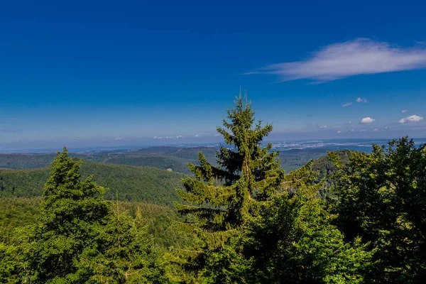 Paseo Verano Largo Del Rennsteig Bajo Sol Más Hermoso — Foto de Stock