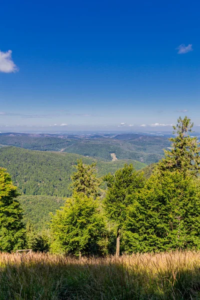 Paseo Verano Largo Del Rennsteig Bajo Sol Más Hermoso —  Fotos de Stock