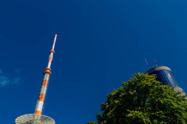 Rennsteig boyunca yaz yürüyüşü en güzel gün ışığında