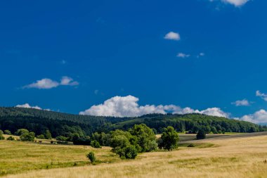Rennsteig boyunca yaz yürüyüşü en güzel gün ışığında