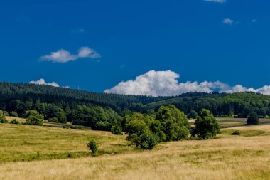 Rennsteig boyunca yaz yürüyüşü en güzel gün ışığında