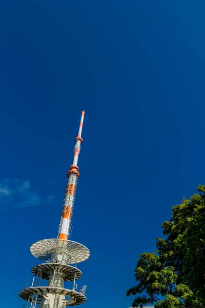 Promenade Estivale Long Rennsteig Sous Beau Soleil — Photo