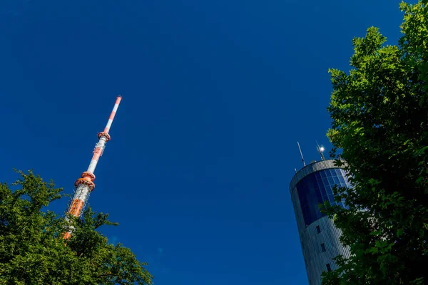 Promenade Estivale Long Rennsteig Sous Beau Soleil — Photo