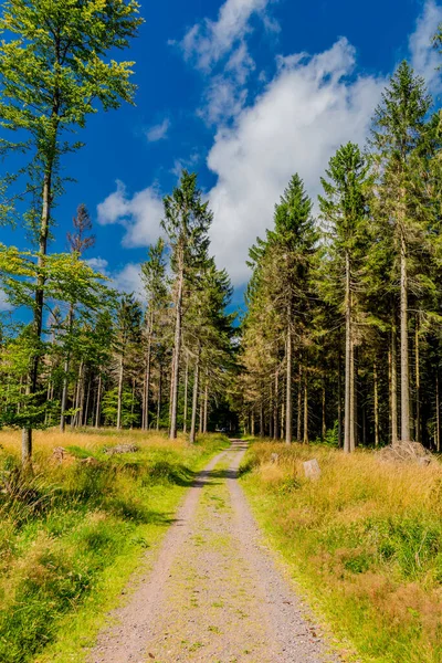 Summer Walk Rennsteig Most Beautiful Sunshine — Stock Photo, Image