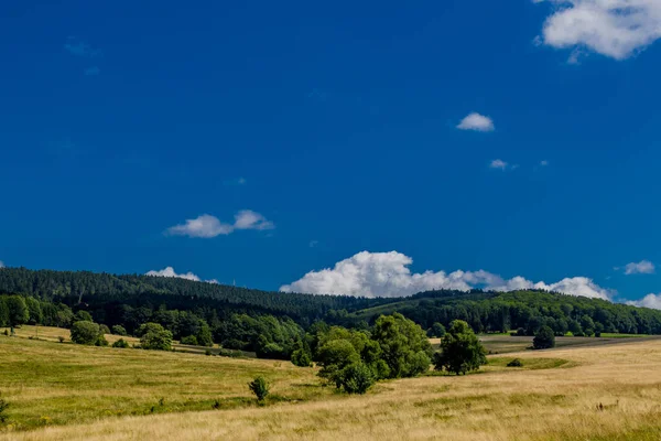 Zomer Wandeling Langs Rennsteig Mooiste Zonneschijn — Stockfoto