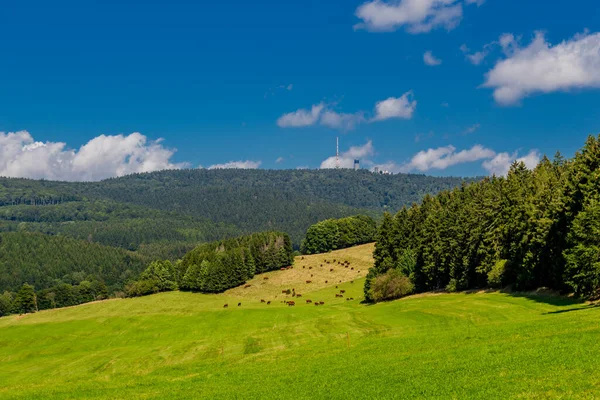 Sommergåtur Langs Rennsteig Den Vakreste Solskinn – stockfoto