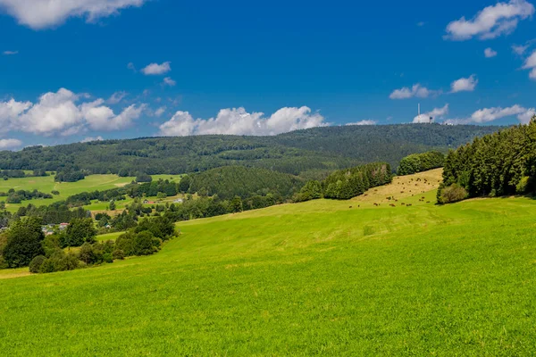 Sommar Promenad Längs Rennsteig Den Vackraste Solsken — Stockfoto