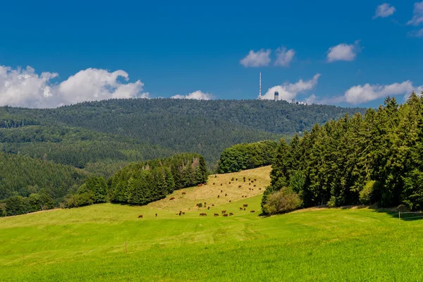 Sommerwanderung Rennsteig Bei Schönstem Sonnenschein — Stockfoto