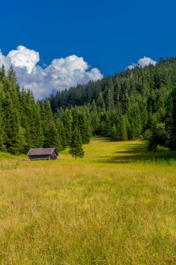 Tatil Bavyera 'daki güzel Wagenbruch Gölü' nün etrafında