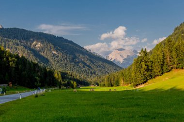 Tirol 'deki güzel Leutasch Vadisi' nde Tatil Hissediyor