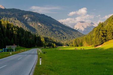 Tirol 'deki güzel Leutasch Vadisi' nde Tatil Hissediyor