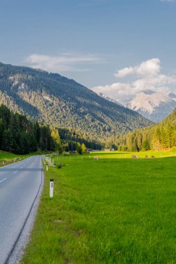 Tirol 'deki güzel Leutasch Vadisi' nde Tatil Hissediyor