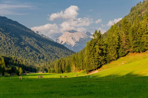 Urlaubsfeeling Rund Das Schöne Leutasch Tal Tirol — Stockfoto