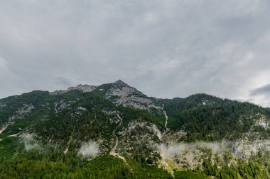 Tirol 'deki güzel Leutasch Vadisi' nde Tatil Hissediyor