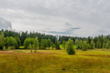 Bavyera 'daki güzel Wildrosenmoos' da yürüyüş macerası
