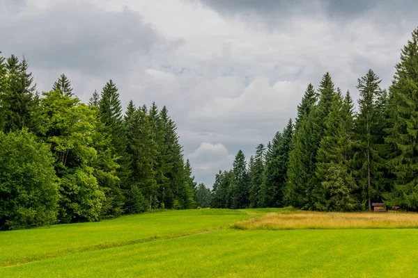 Πεζοπορία Περιπέτεια Γύρω Από Την Όμορφη Wildrosenmoos Στη Βαυαρία — Φωτογραφία Αρχείου