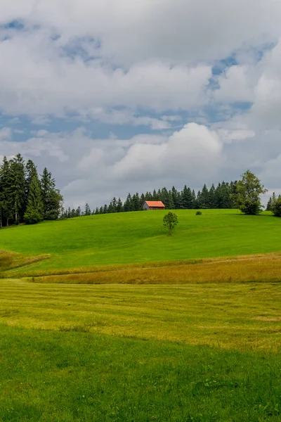 Πεζοπορία Περιπέτεια Γύρω Από Την Όμορφη Wildrosenmoos Στη Βαυαρία — Φωτογραφία Αρχείου