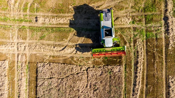 Пізній Літній Урожай Зерна Поблизу Шмалькальдена Тюрингії Німеччина — стокове фото