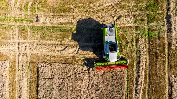 Пізній Літній Урожай Зерна Поблизу Шмалькальдена Тюрингії Німеччина — стокове фото