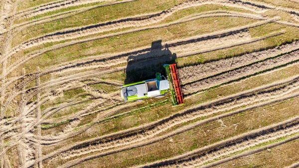 Pozdní Letní Sklizeň Obilí Schmalkaldenu Durynsko Německo — Stock fotografie